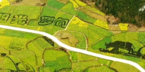 土地的涅槃｜全域土地綜合整治為何爆火？設(shè)計(jì)院如何搶占風(fēng)口？